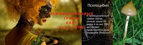 2c-b Белоозёрский