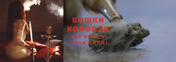 стаф Балахна