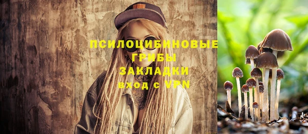 jwh Богородск