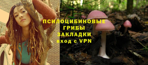 СК Белокуриха