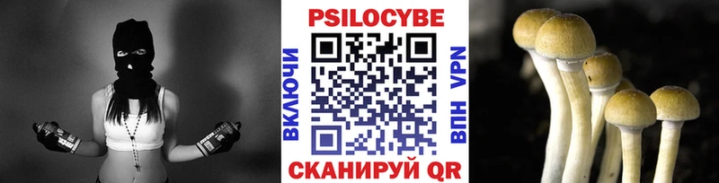 Галлюциногенные грибы MAGIC MUSHROOMS  дарк нет формула  Бузулук  купить наркотики цена 